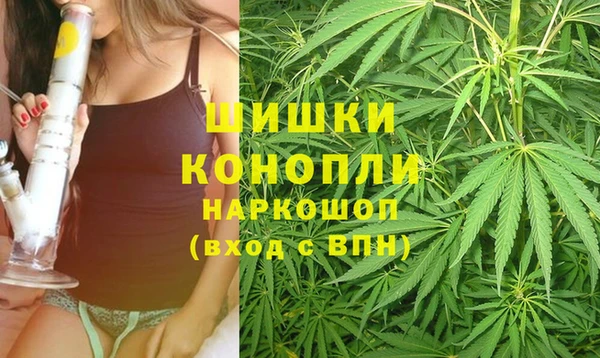 МДПВ Верхний Тагил
