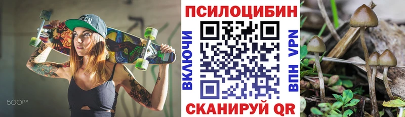 закладки  Малаховка  Псилоцибиновые грибы прущие грибы 