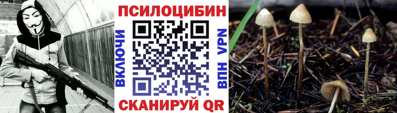 Галлюциногенные грибы Psilocybe Малаховка